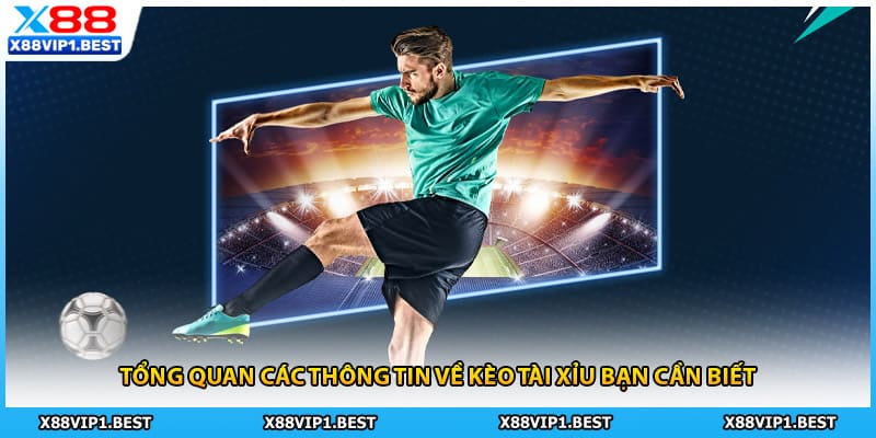 Tổng quan các thông tin về kèo tài xỉu bạn cần biết